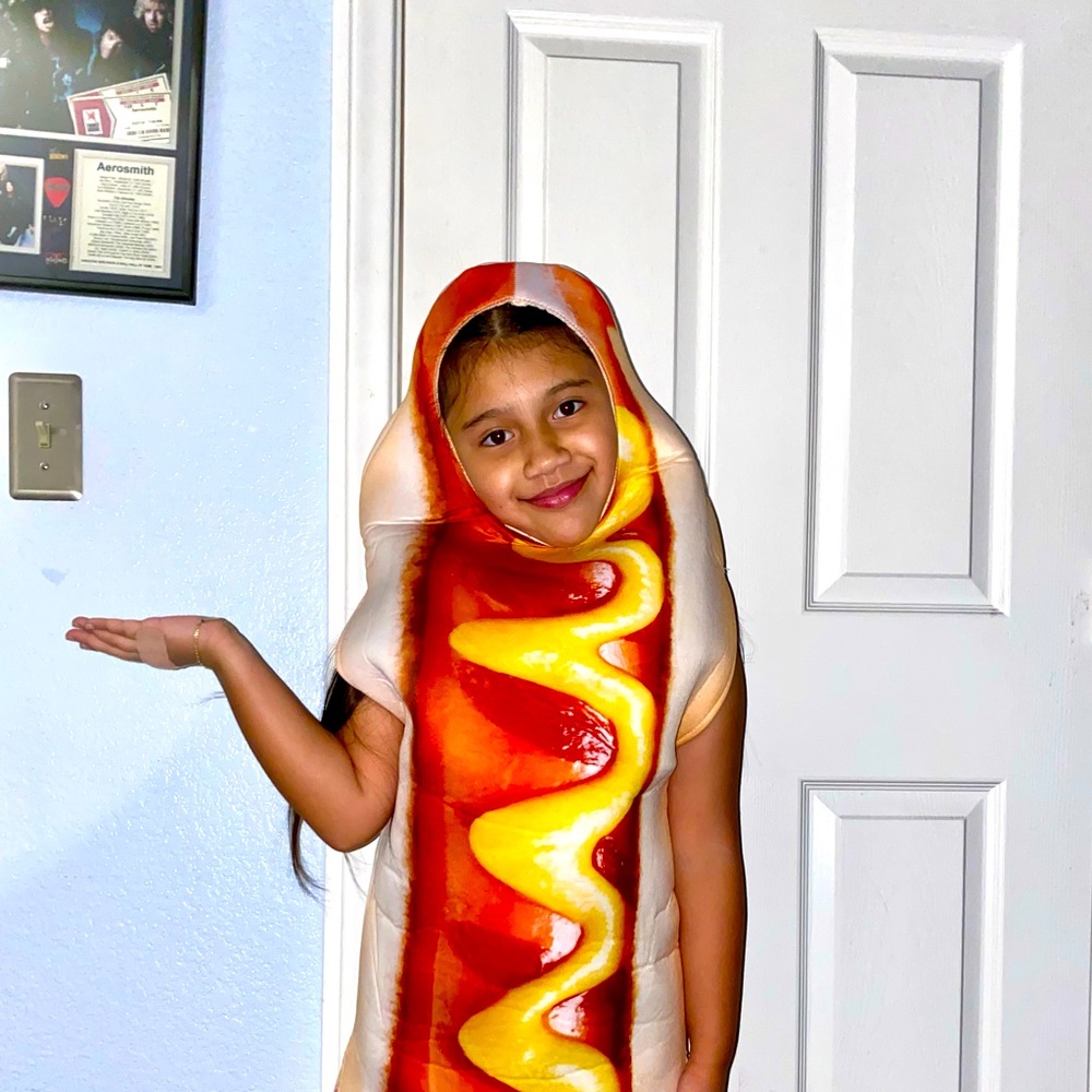 🌹kids hotdog costume